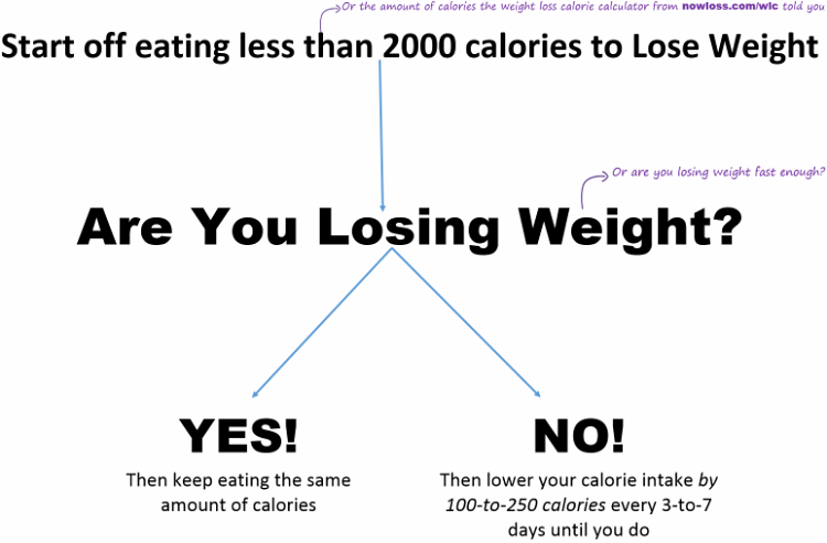 1500 Calorie Diet Weight Loss Calculator