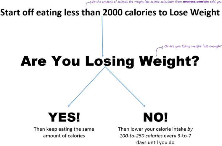 Calorie Deficit Per Day To Lose Weight