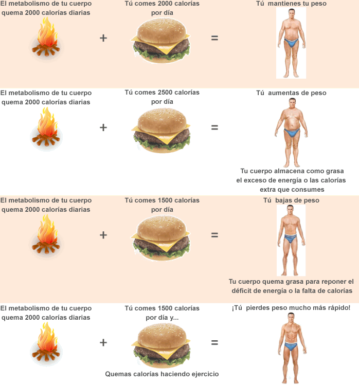 Lista 99 Foto Que Es Una Caloría En Nutrición Alta Definición Completa 2k 4k 5879