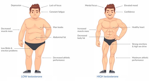 low-testosterone-symptoms-free-online-test-for-low-testosterone