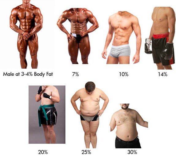 men-bodyfat-chart-visual.jpg