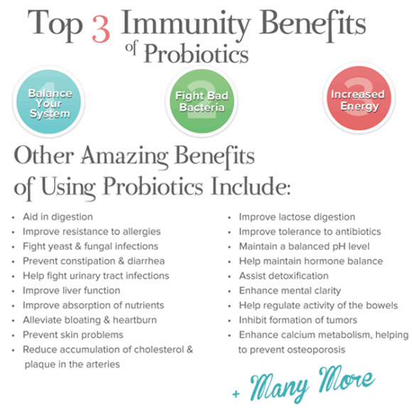 http://ee85019fd821af767b70-f458b2f4b4b80b1a6f1dc7d41583c151.r97.cf1.rackcdn.com/probiotics-benefits.png