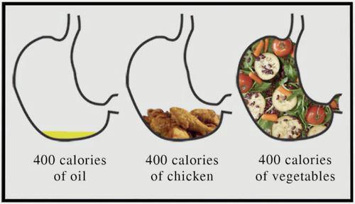 Fighting Hunger During Dieting