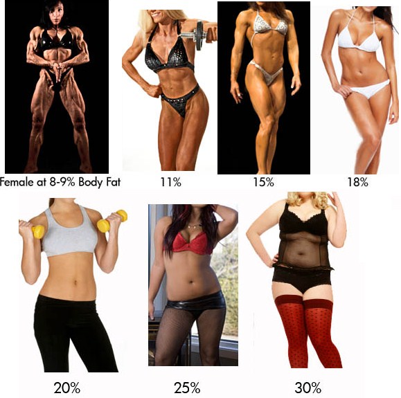 women-bodyfat-chart-visual.jpg